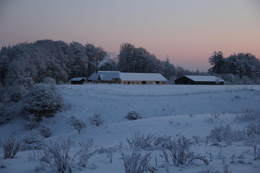 Munkebjerg Bed&Breakfast Børkop Exterior foto